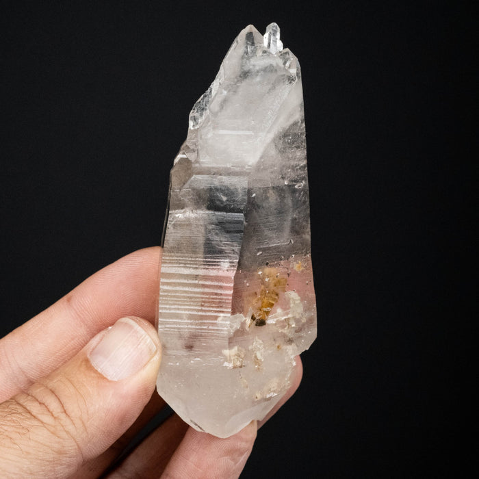 Lemurian Seed Quartz Crystal *DT 105 g 97x38mm - InnerVision Crystals