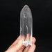 Lemurian Seed Quartz Crystal *DT 192 g 121x37mm - InnerVision Crystals