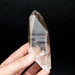 Lemurian Seed Quartz Crystal DT 205 g 120x47mm - InnerVision Crystals