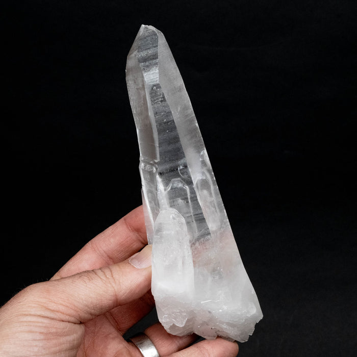 Lemurian Seed Quartz Crystal DT 366 g 173x50mm - InnerVision Crystals