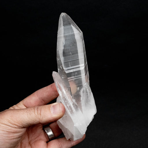 Lemurian Seed Quartz Crystal DT 366 g 173x50mm - InnerVision Crystals