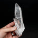 Lemurian Seed Quartz Crystal DT 366 g 173x50mm - InnerVision Crystals