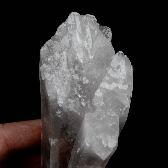 Lemurian Seed Quartz Crystal DT 366 g 173x50mm - InnerVision Crystals