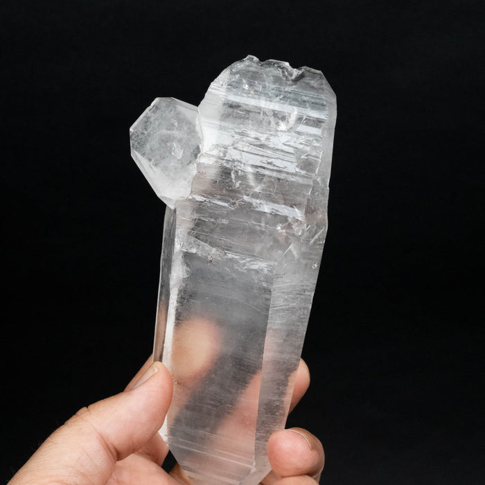Lemurian Seed Quartz Crystal *DT 428 g 160x70mm - InnerVision Crystals