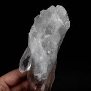 Lemurian Seed Quartz Crystal DT 590 g 219x59mm - InnerVision Crystals