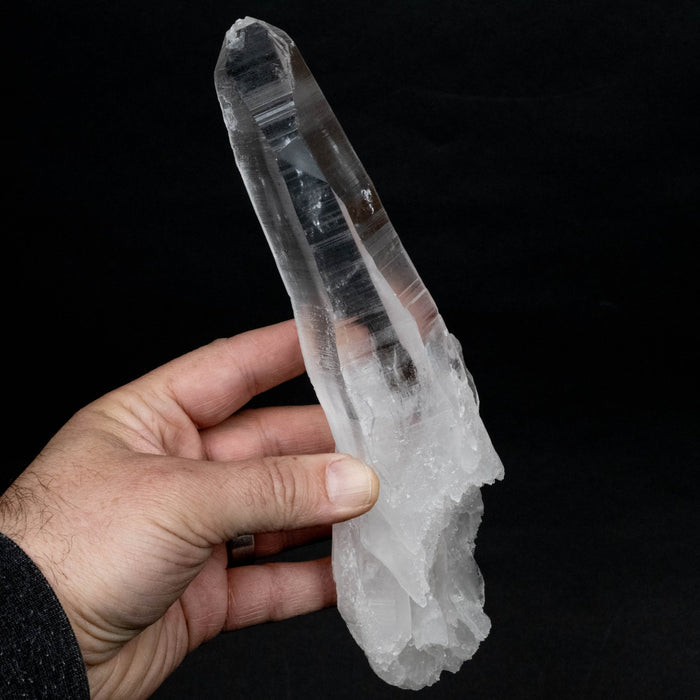 Lemurian Seed Quartz Crystal DT 590 g 219x59mm - InnerVision Crystals