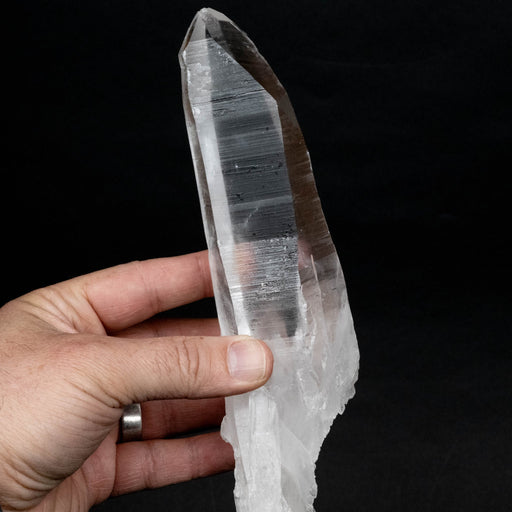 Lemurian Seed Quartz Crystal DT 590 g 219x59mm - InnerVision Crystals
