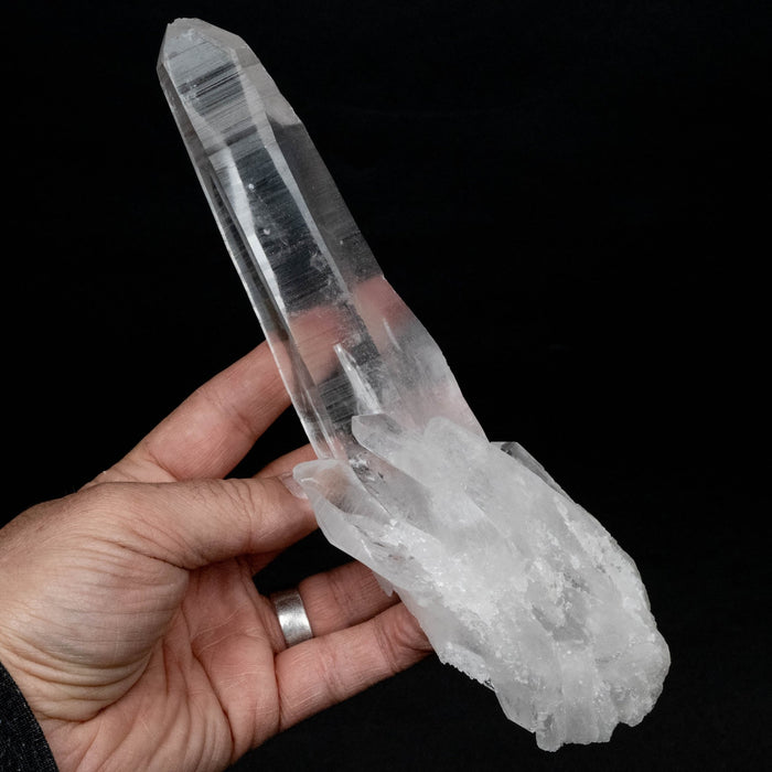 Lemurian Seed Quartz Crystal DT 590 g 219x59mm - InnerVision Crystals