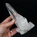 Lemurian Seed Quartz Crystal DT 623 g 172x82mm - InnerVision Crystals
