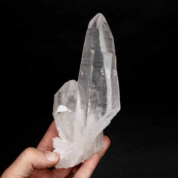 Lemurian Seed Quartz Crystal DT 623 g 172x82mm - InnerVision Crystals