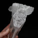 Lemurian Seed Quartz Crystal DT 623 g 172x82mm - InnerVision Crystals