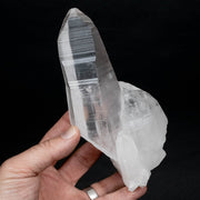 Lemurian Seed Quartz Crystal DT 623 g 172x82mm - InnerVision Crystals