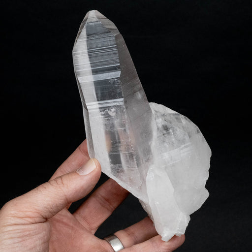 Lemurian Seed Quartz Crystal DT 623 g 172x82mm - InnerVision Crystals
