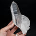 Lemurian Seed Quartz Crystal DT 623 g 172x82mm - InnerVision Crystals