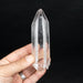 Lemurian Seed Quartz Crystal with Phantom 185 g 125x36mm - InnerVision Crystals