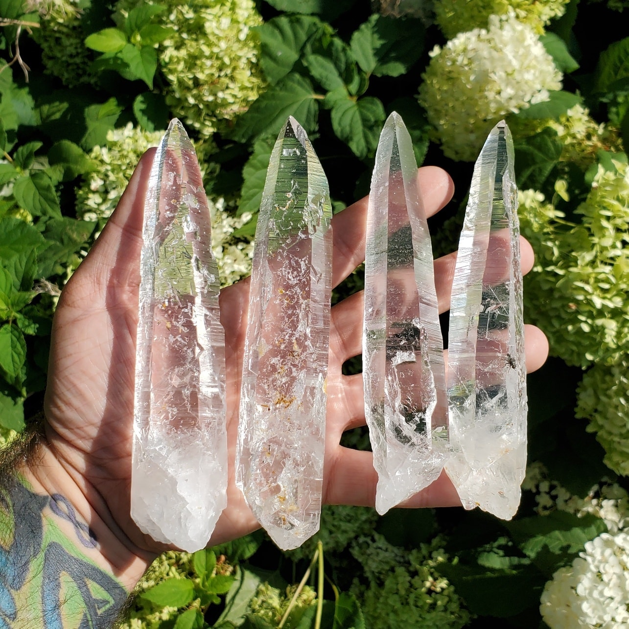 Crystals : Explore all our Collections - InnerVision Crystals