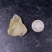Libyan Desert Glass 24.10 g 43x36x21mm - InnerVision Crystals