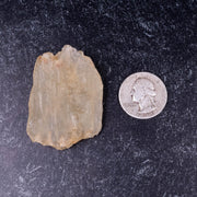 Libyan Desert Glass 25.38 g 51x37x16mm - InnerVision Crystals