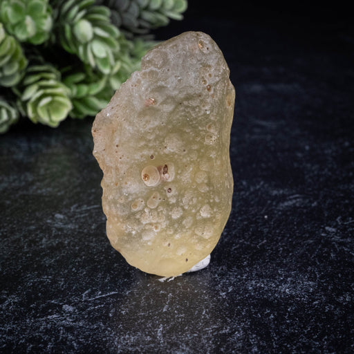 Libyan Desert Glass 35.50 g 52x31x25mm - InnerVision Crystals