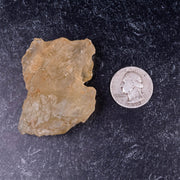 Libyan Desert Glass 50.52 g 55x41x33mm - InnerVision Crystals