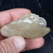 Libyan Desert Glass 89.02 g 67x55x23mm - InnerVision Crystals