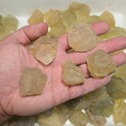 Libyan Desert Glass B Grade | 500 grams Wholesale Lot - InnerVision Crystals