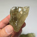 Libyan Desert Glass Cutting / Carving Rough | 500 grams Wholesale Lot - InnerVision Crystals