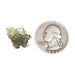 Moldavite 0.96 g 20x14x4mm - InnerVision Crystals