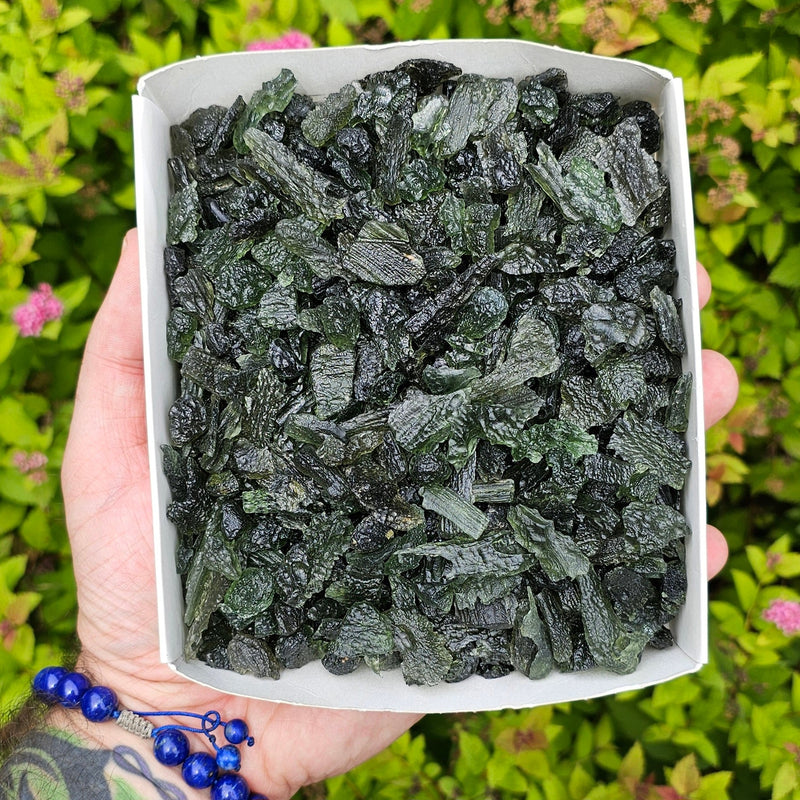 Moldavite Lot Small Top Quality 1 g and under | Wholesale Lot - InnerVision Crystals