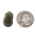Moldavite 1.42 g 21x13x4mm - InnerVision Crystals