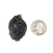 Moldavite 14.36 g 39x27x12mm - InnerVision Crystals