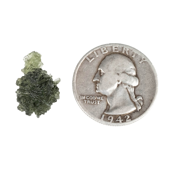 Moldavite 1.59 g 18x11x11mm - InnerVision Crystals