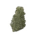 Moldavite 2.10 g 29x16x4mm - InnerVision Crystals