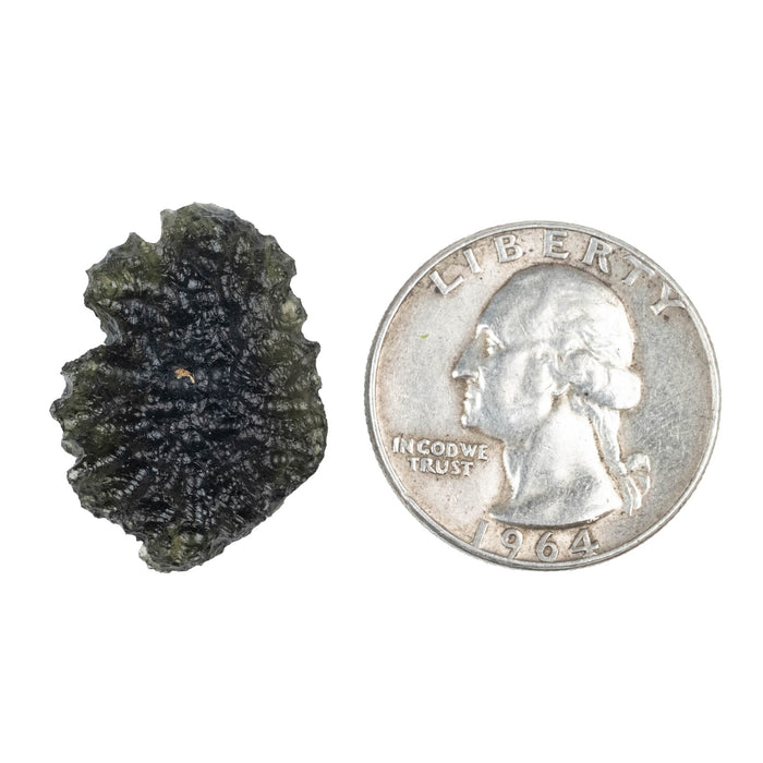 Moldavite 3.43 g 25x18x7mm - InnerVision Crystals