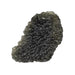 Moldavite 6.21 g 31x20x9mm - InnerVision Crystals