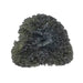 Moldavite 6.50 g 26x22x11mm - InnerVision Crystals