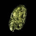 Moldavite 7.09 g 34x18x9mm - InnerVision Crystals
