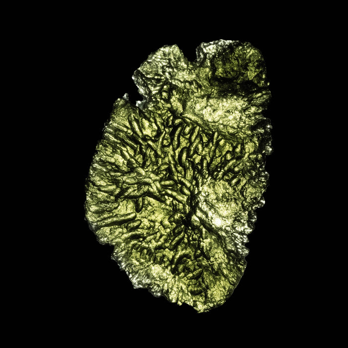 Moldavite 7.24 g 37x23x7mm - InnerVision Crystals
