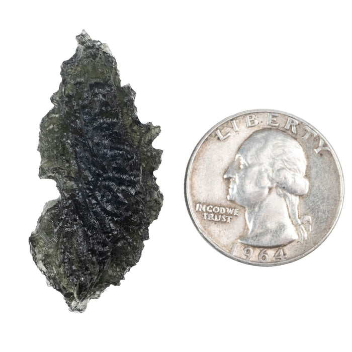 Moldavite 7.94 g 40x19x14mm - InnerVision Crystals
