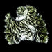 Moldavite Besednice Jezkovna 10.28 g 42x38x5mm Angel Chime AA+ - InnerVision Crystals