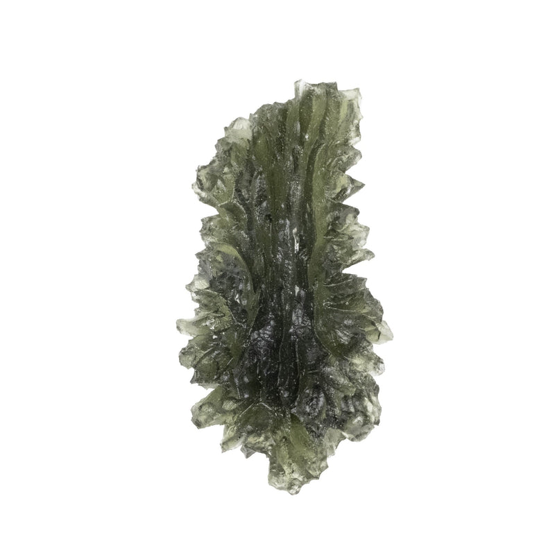 Moldavite Besednice Jezkovna 10.58 g 45x25x13mm AA - InnerVision Crystals