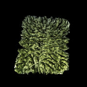 Moldavite Besednice Jezkovna 10.98 g 37x36x6mm Angel Chime AA - InnerVision Crystals