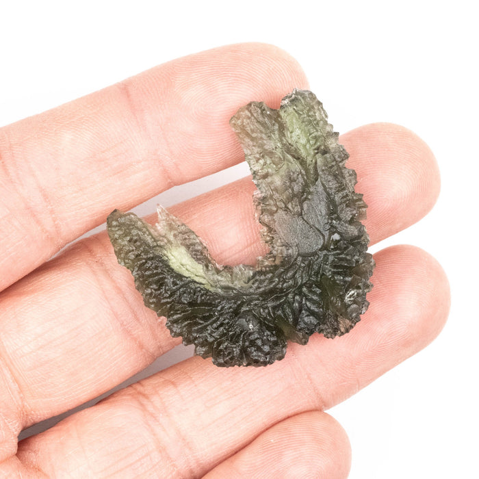 Moldavite Besednice Jezkovna 11.54 g 39x38x11mm Angel Chime A+ - InnerVision Crystals