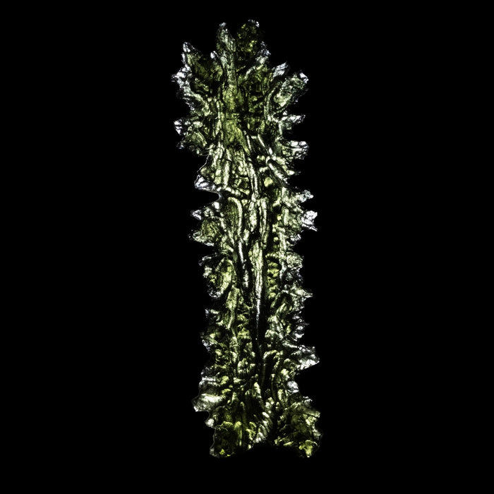 Moldavite Besednice Jezkovna 11.97 g 75x22x10mm Angel Chime AA - InnerVision Crystals