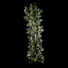 Moldavite Besednice Jezkovna 11.97 g 75x22x10mm Angel Chime AA - InnerVision Crystals