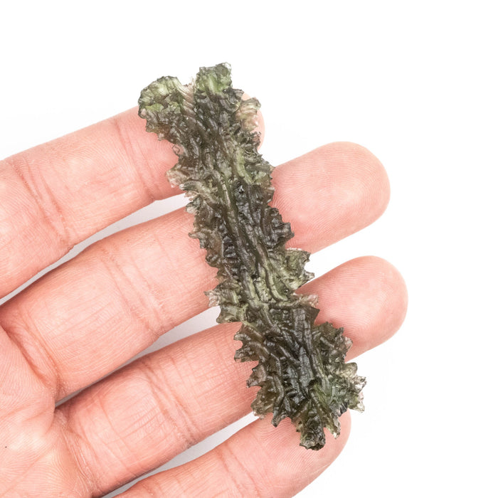 Moldavite Besednice Jezkovna 11.97 g 75x22x10mm Angel Chime AA - InnerVision Crystals
