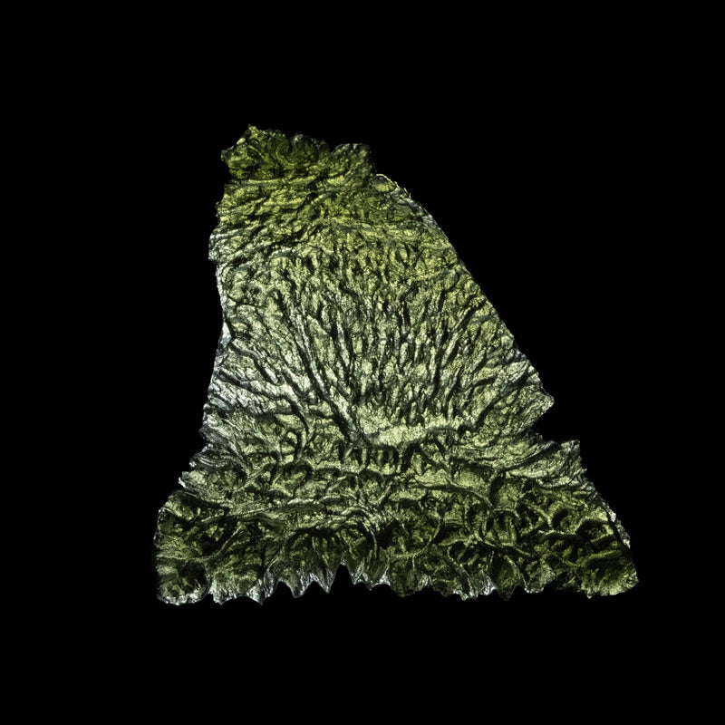 Moldavite Besednice Jezkovna 12.16 g 53x50x6mm Angel Chime AA - InnerVision Crystals