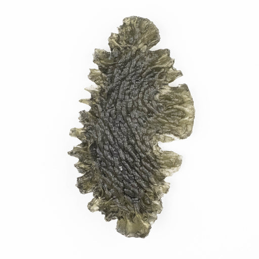 Moldavite Besednice Jezkovna 12.45 g 65x36x6mm Angel Chime AA+ - InnerVision Crystals