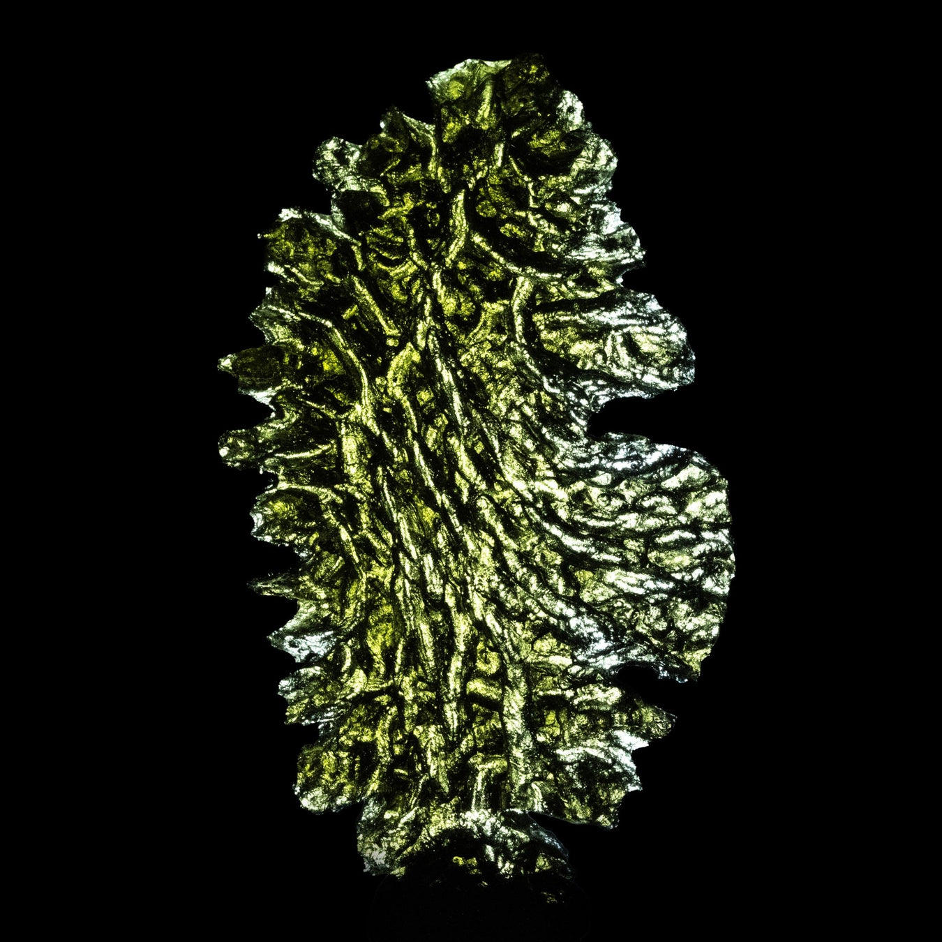 Moldavite Besednice Jezkovna 12.45 g 65x36x6mm Angel Chime AA+ - InnerVision Crystals