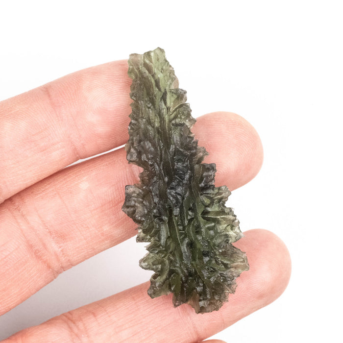 Moldavite Besednice Jezkovna 12.58 g 59x24x11mm Angel Chime AA - InnerVision Crystals